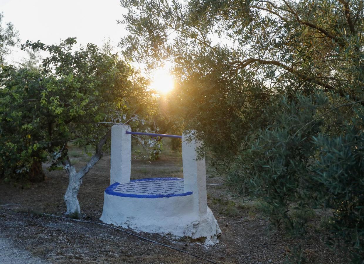 Cortijo Botanico El Cerro Villa Cabra Exteriör bild